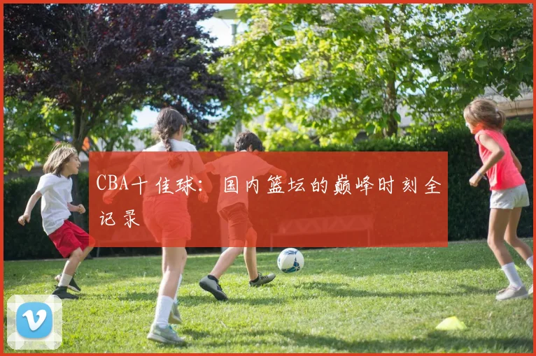 CBA十佳球:国内篮坛的巅峰时刻全记录