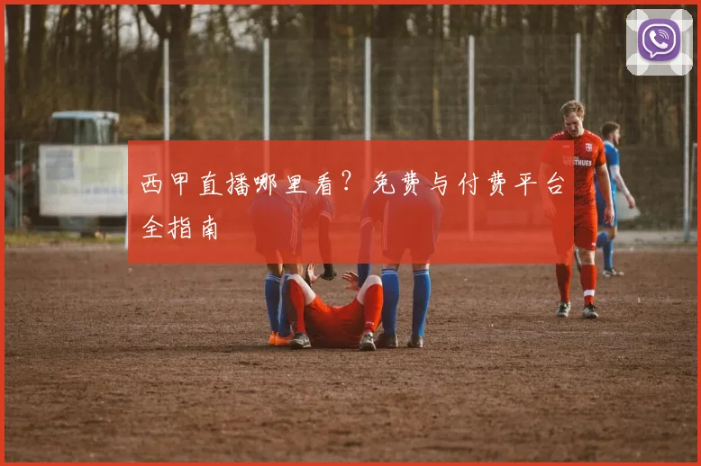 西甲直播哪里看?免费与付费平台全指南