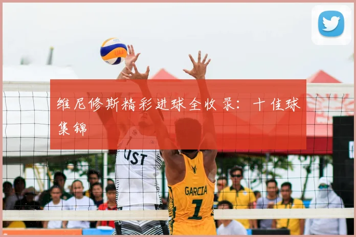 维尼修斯精彩进球全收录:十佳球集锦