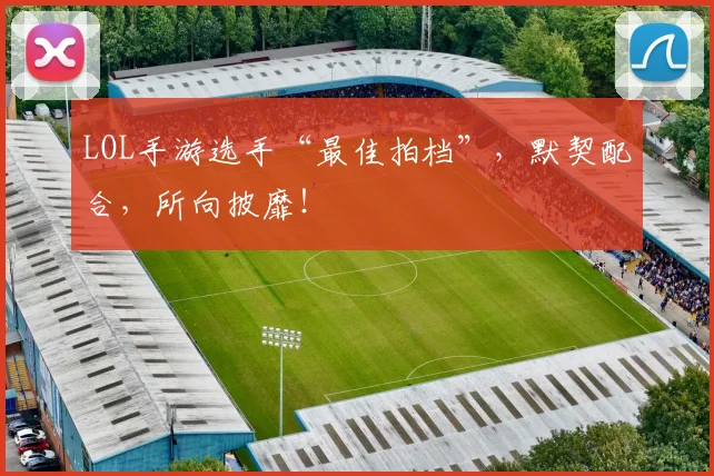 LOL手游选手“最佳拍档”,默契配合,所向披靡!