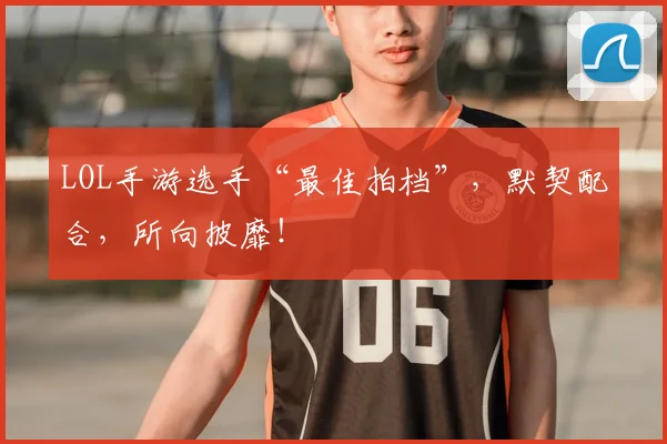 LOL手游选手“最佳拍档”,默契配合,所向披靡!